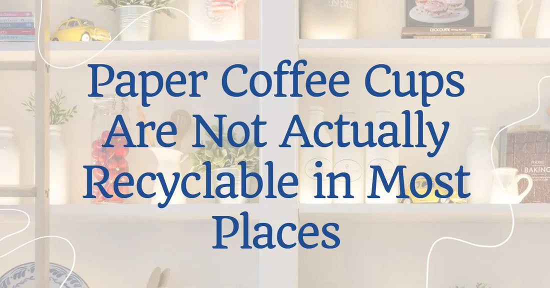 Paper Coffee Cups Are Not Recyclable in Most Places – Here’s Why - HandFan
