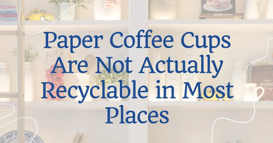 Paper Coffee Cups Are Not Recyclable in Most Places – Here’s Why - HandFan